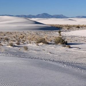 Meet your Posher, Snigdha